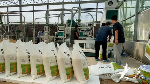 跨村聯建拓富路,5個村支書撐起石磨面粉廠