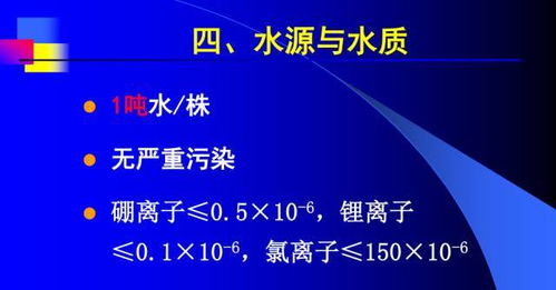 著名栽培專家彭良志研究員的精品課程 柑桔園規劃建設與幼樹管理 的ppt課件